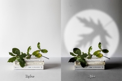 54 Blinds Reflection Overlays Product Image 15