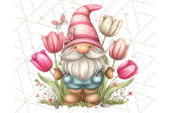 Summer Garden Gnomes Clipart PNG, Summer Country Gnomes Png Product Image 3