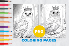Crowned Owl Coloring Pages | Coloring book Product Image 1
