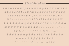 Fox Rustic: 7 Font Styles Product Image 15