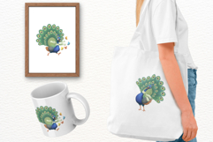 Spring &amp; Easter Peacock Clipart Product Image 8