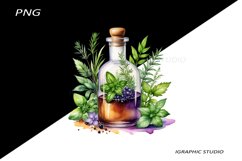 Watercolor bottle and herbs clipart Product Image 1