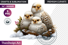 Birds Watercolor Arctic Winter Animal Clipart Wildlife PNG Product Image 1
