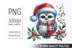 Christmas Owl Clipart PNG, Festive Owl illustration Product Image 1