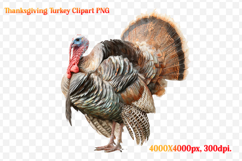 Watercolor Thanksgiving Turkey Clipart PNG Product Image 1
