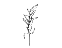 Palm Leaves svg, Botanical png Product Image 20