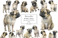 15 PNG Fawn Pug Clipart  Clipart Standing Pug Watercolor Print Dog Illustration Painting Watercolor Dog Art Cute Watercolor Pet Portrait