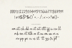 Rough Scribble Script Product Image 15