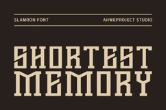 Slamron Product Image 15