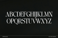 The Ethicly Product Image 12