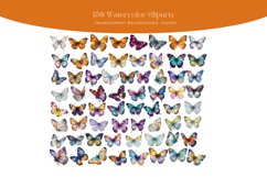 150 Watercolor Colorful Butterfly Clipart Product Image 3