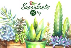 Watercolor Succulents Clip Art Set Product Image 5