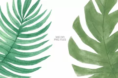 Watercolor Safari Baby Animals Clipart Product Image 5