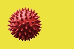 Coronavirus Product Image 1