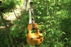 Acoustic guitar in theforest. Product Image 1