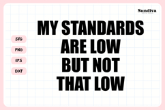 15 Funny Sarcastic Sayings SVG Bundle V1 Product Image 16