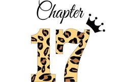 Birthday Svg, 17 Birthday svg, happy birthday cricut file. Product Image 1