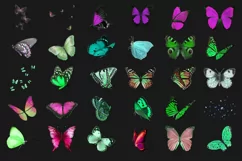 100 BUTTERFLIES TRANSPARENT PNG FILES, PHOTOSHOP OVERLAYS Product Image 7