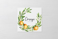 WATERCOLOR ORANGE FRUITS ELEMENTS Product Image 4