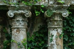 Ancient columns enveloped by ivy Product Image 1