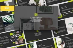 Experience Business Google Slide Product Image 1