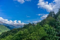 Mountain landscape with trees against a blue sky Product Image 1