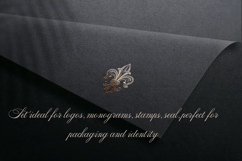 Bundle of vector vintage flourishes Product Image 15