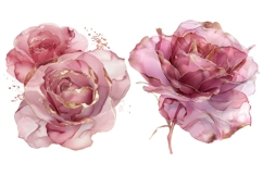 30 Watercolor Rose Clipart, Pink Floral PNG, Wedding Flowers Product Image 16