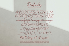 Padinks / Monoline Typeface Product Image 14