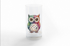 Stitched Owl Doll Big Eyes Halloween Voodoo PNG Product Image 3