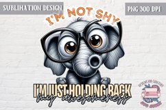 Sarcastic Animal Quote Bundle Sublimation Design of 17 PNG Product Image 20
