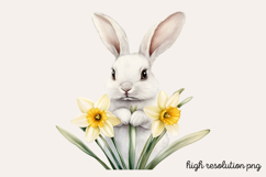 Springtime Daffodils Easter Clipart PNG Product Image 1