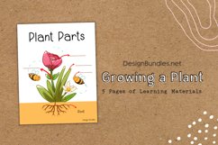 Growing a Plant and Plant Parts Educational Materials Product Image 4