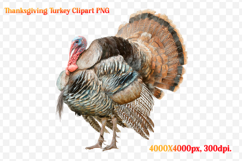Watercolor Thanksgiving Turkey Clipart PNG Product Image 1