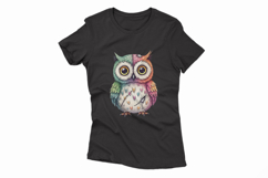 Stitched Owl Doll Big Eyes Halloween Voodoo PNG Product Image 4
