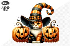 Halloween Cat And Pumpkin Sublimation - Clipart PNG Design Product Image 1