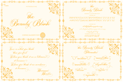 Royale Script Collection Fonts Bundle Product Image 16