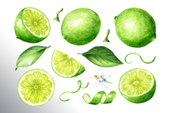 Lime citrus. Watercolor collection Product Image 17