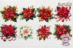 Christmas Poinsettia Bundle Sublimation 36 PNG Flowers Product Image 5