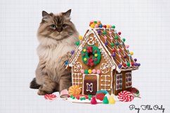 Christmas Cats Clipart PNG Product Image 1