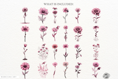 Summer Wildflowers &amp; Lady Bugs Clipart Product Image 4