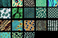 Peacock Seamless Patterns Backgrounds Product Image 7