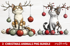 2 Christmas Animals PNG | Cute Festive Wildlife Clipart Product Image 1