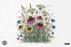 1920 Botanical Summer Wildflowers Clipart Product Image 1