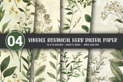 Vintage Botanical Herb Digital Paper Product Image 1