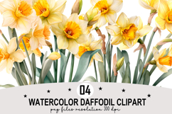 Watercolor Daffodil Clipart png Whimsical Daffodil png Product Image 1