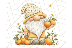 Summer Garden Gnomes Clipart PNG, Summer Country Gnomes Png Product Image 4