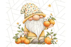 Summer Garden Gnomes Clipart PNG, Summer Country Gnomes Png Product Image 4