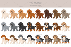 Toy poodle clipart Product Image 4