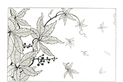 20 Ornamental Sheets for Leather Working and Wood Burning Product Image 6